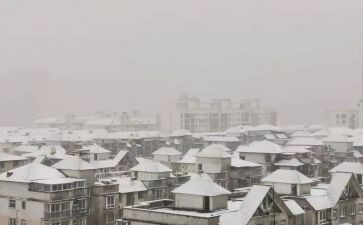 下雪啦作文100字7篇