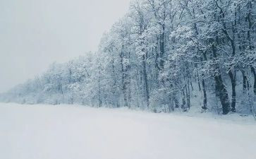 作文下雪300字通用5篇