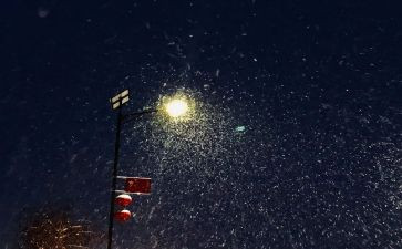 下雪啦作文200字6篇