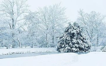下雪啦作文400字6篇