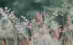 小学生把栓q写景作文8篇