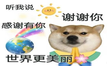 谢谢您给我的爱作文7篇