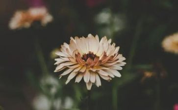 写一个我最喜欢的人作文6篇