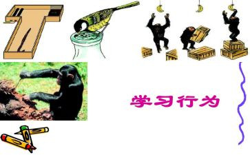 中小学职业道德行为处理办法心得体会优秀5篇