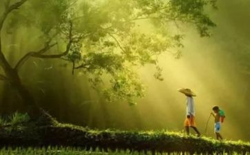 心灵作文800字模板5篇