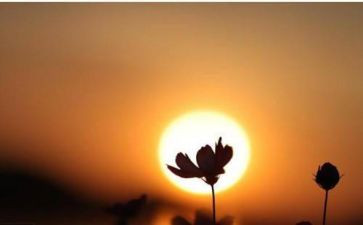 心灵作文最新8篇