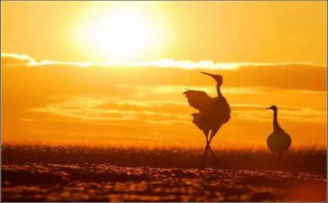 心灵作文参考6篇