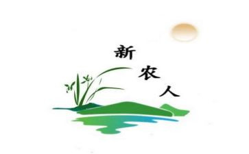 新农村合同精选7篇