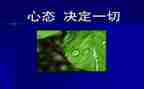 阳光心态的培训心得8篇