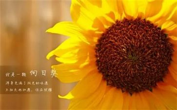 新一年工作计划银行8篇