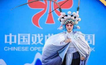 2024年戏曲进校园活动总结5篇
