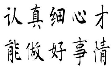 细心的你作文8篇