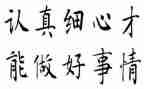 细心的你作文8篇