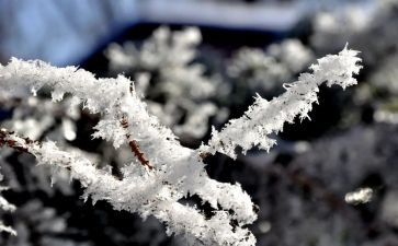 职工除雪心得体会参考5篇