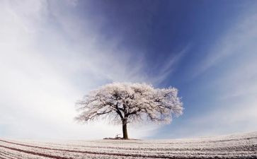二年级雪作文100字8篇
