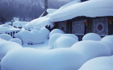 小学生写关于雪的作文通用5篇