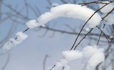 除雪工作汇报材料推荐8篇