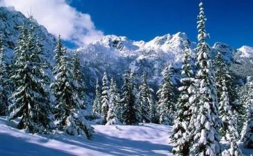 校园除雪事迹材料6篇