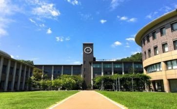 小学部主任述职报告5篇
