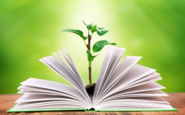 历史七年级教学工作总结精选7篇