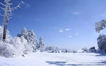 写冬天雪景的作文800字8篇