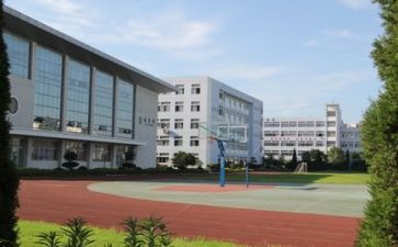 学校财务述职报告7篇