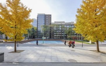 学校42活动方案精选7篇