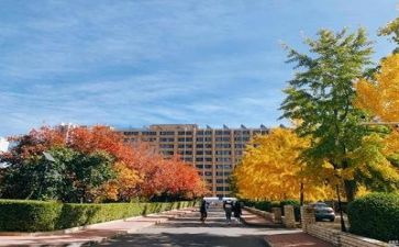 年度学校安全工作总结通用6篇
