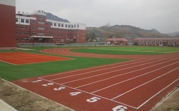 体育学校调研报告范文6篇