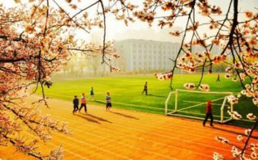 学校计划语言文字工作计划5篇