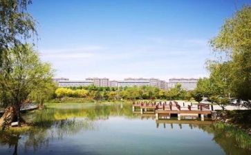 学校述职报告8篇