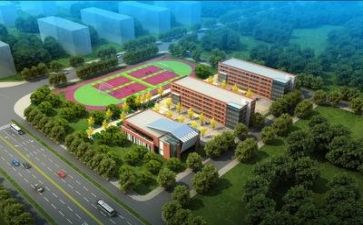 学校42活动方案5篇