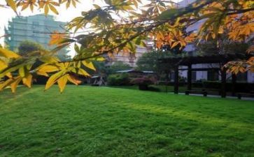 学校教研室工作计划6篇