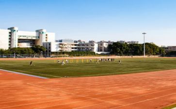 学校教师素述职报告模板6篇