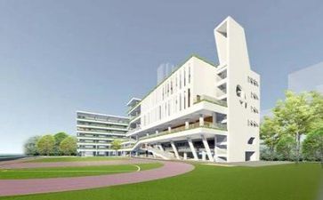 学校年度体育工作报告5篇