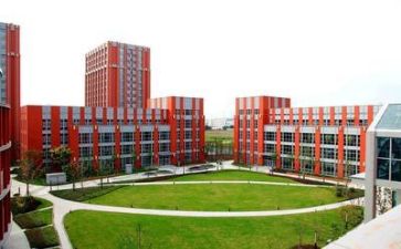 学校述职报告模板8篇