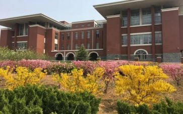 学校的财务工作计划模板6篇