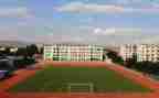 学校述职报告推荐5篇
