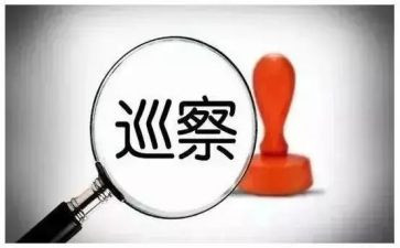 2024年巡察组长述职述廉报告8篇