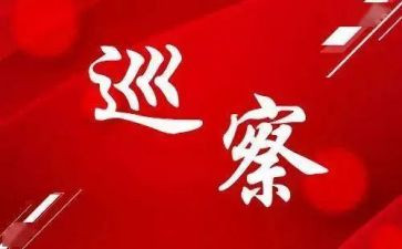 局巡察工作计划8篇