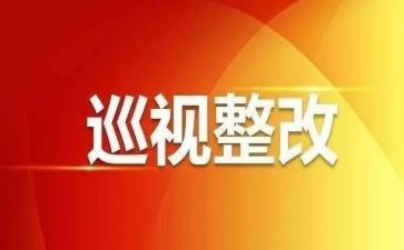 个人巡视工作总结7篇