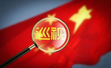 巡视工作心得体会8篇