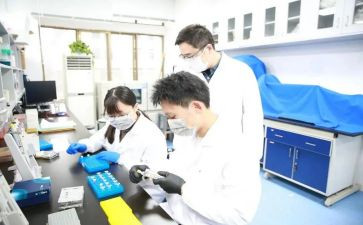 研究性报告总结8篇