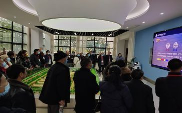 2024年研修总结精选5篇