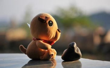 枫叶船的读后感5篇