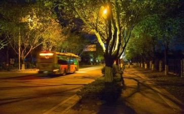 酒店跨年夜活动策划6篇