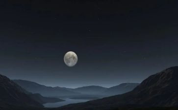 夜莺读后感8篇