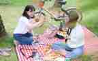 野餐活动策划7篇
