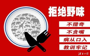 拒绝野味演讲稿通用5篇