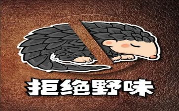 拒绝野味演讲稿5篇